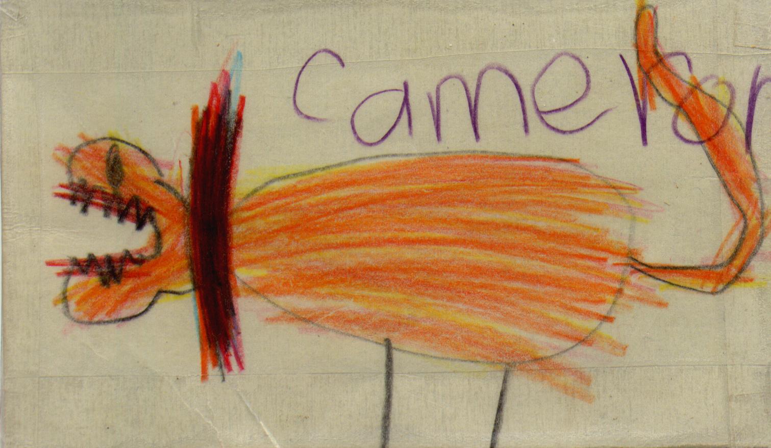 Cameron's lion bookmark